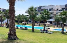 acheter à torrevieja avis