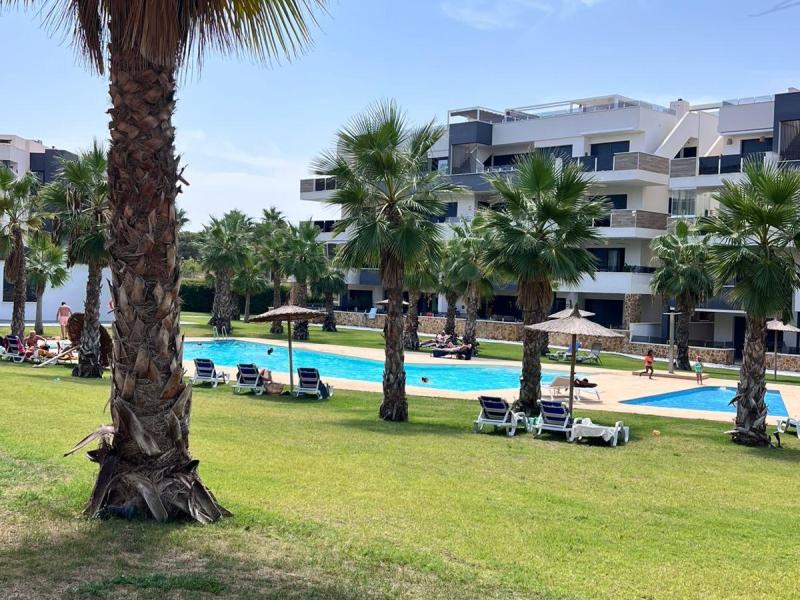 acheter à torrevieja avis