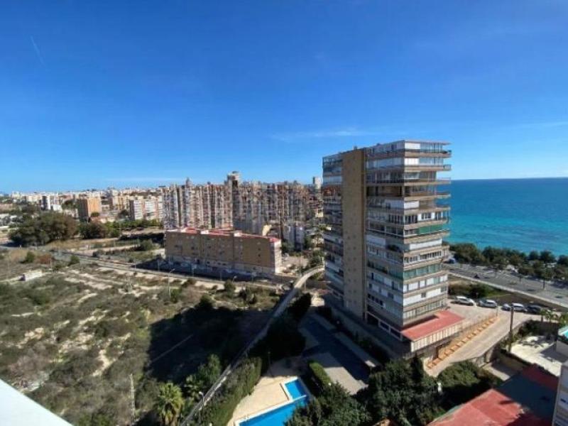 wohnung in alicante kaufen