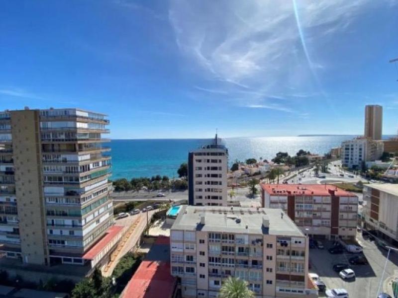 wohnung in alicante kaufen