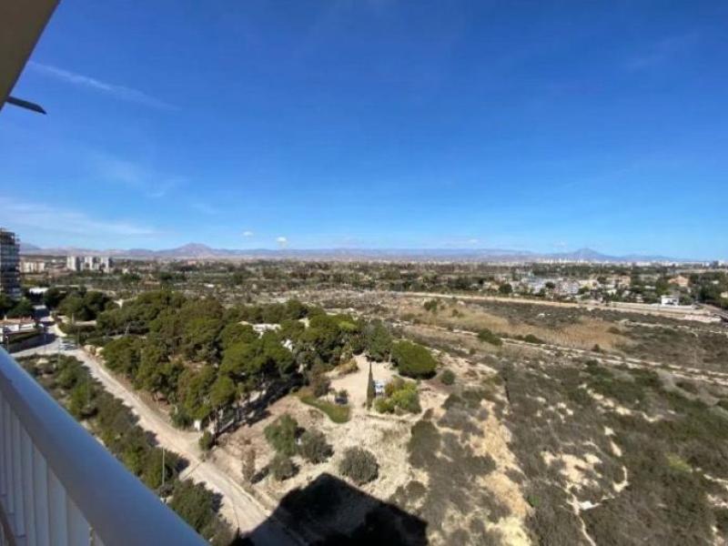 wohnung in alicante kaufen