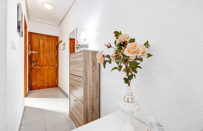 Furnished Studio with Elevator and Tourist License in the Heart of Torrevieja