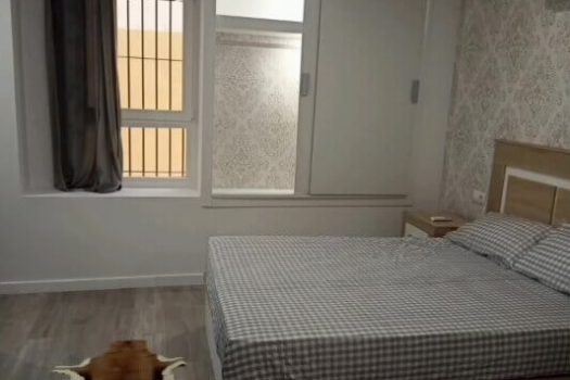 Spacious apartment in the heart of Alicante