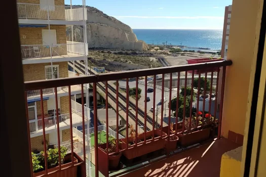 Buy property in Alicante