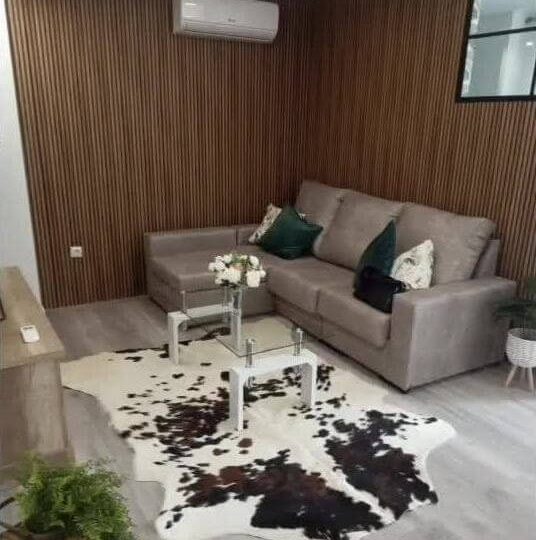 Spacious apartment in the heart of Alicante