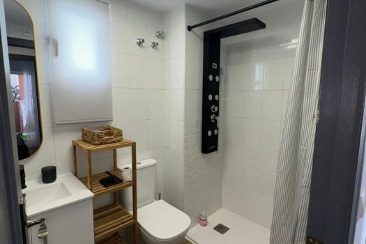 Renovated apartment in the city centre with great potential