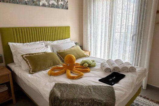 How much is rent in Spain – villa with pool